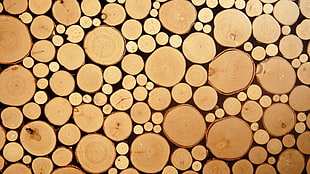 pile of woods wallpaper, nature, texture, wood, circle HD wallpaper