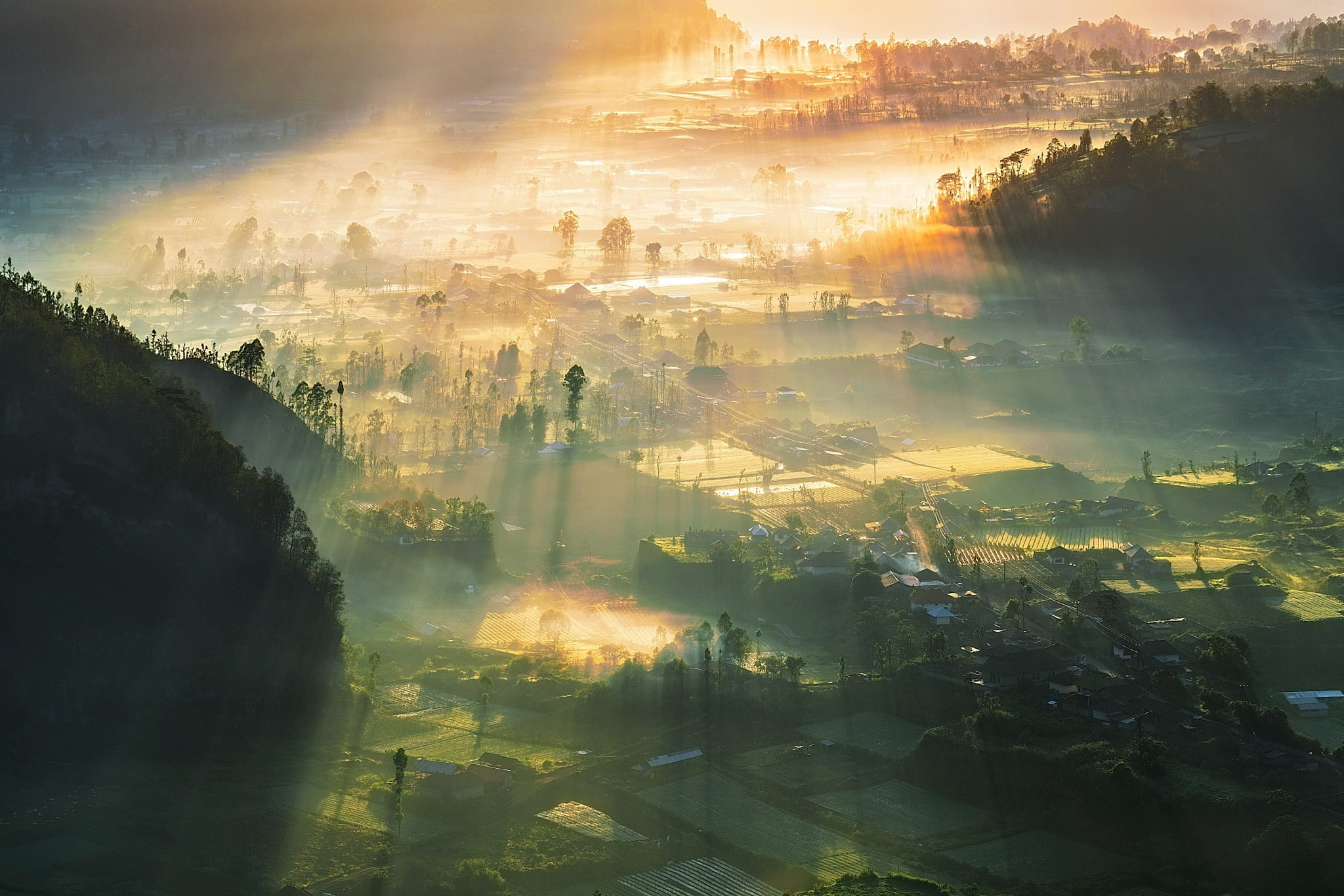 green plants, nature, landscape, valley, village