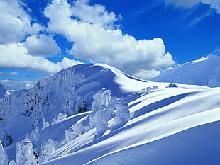 mountain covered in snow