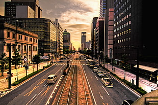 cars on road between buildings, hiroshima