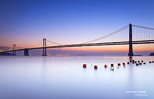 Golden Gate Bridge under blue sky HD wallpaper