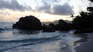 brown rocks on shore during daytime photography, stones, beach, landscape HD wallpaper