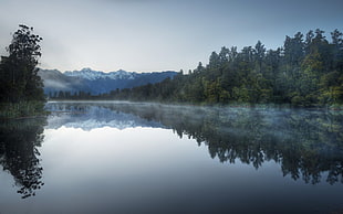 river photo, landscape, nature, lake, forest