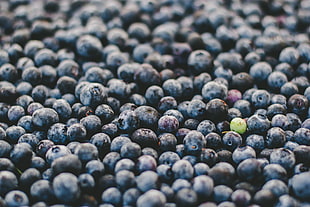 blueberry fruits, Blueberry, Berry, Ripe HD wallpaper