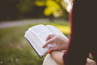 adult, blur, book, college