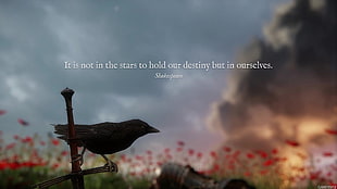 silhouette of bird with text overlay, video games, Kingdom Come: Deliverance, Warhorse Studios HD wallpaper