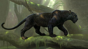 panther walks on tree branch HD wallpaper