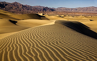 desert photography during daytime HD wallpaper