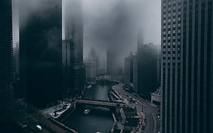 gray high-rise building, city, skyscraper, mist, skyline HD wallpaper