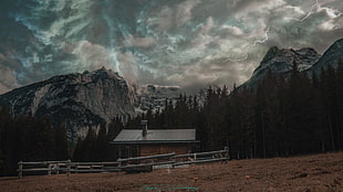 brown and gray cabin, mountains, mountain top, forest, house HD wallpaper