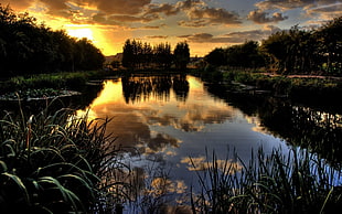 body of water, nature, lake, water, landscape