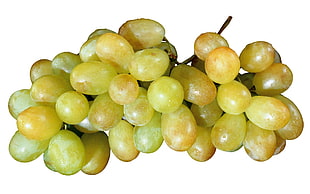 green grapes HD wallpaper