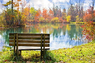 empty brown bench in front calm body of water surrounded by bush tress