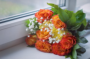 orange, white, and red flower bouquet on white surface HD wallpaper