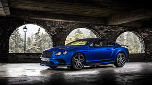 blue BMW sports coupe inside house