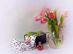 pink tulips flowers in glass vase HD wallpaper