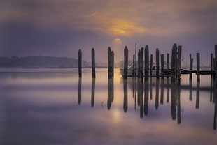 brown wooden post in sea near boat