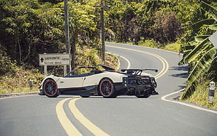 white and black coupe, Pagani, Pagani Zonda Cinque Roadster HD wallpaper