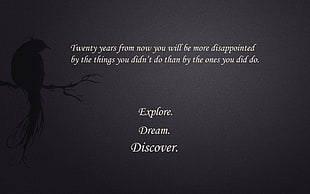Explore, Dream, Discover text with black background HD wallpaper