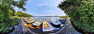 several assorted-color boats, landscape, fisheye lens, boat, pier HD wallpaper