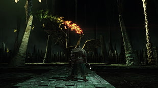 character holding weapon, Dark Souls, Dark Souls II