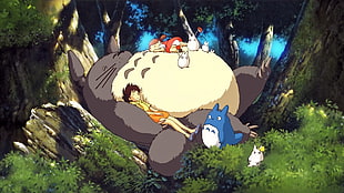 my neighbor Totoro anime HD wallpaper