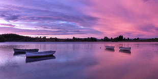 four canoe on body water during golden hour