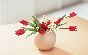 red flowers in vase