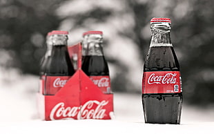 tilt-shift lens photography of coca-cola soda bottle HD wallpaper