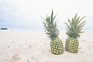two green Pineapples on shore at daytime