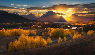 green trees, nature, photography, landscape, sunset