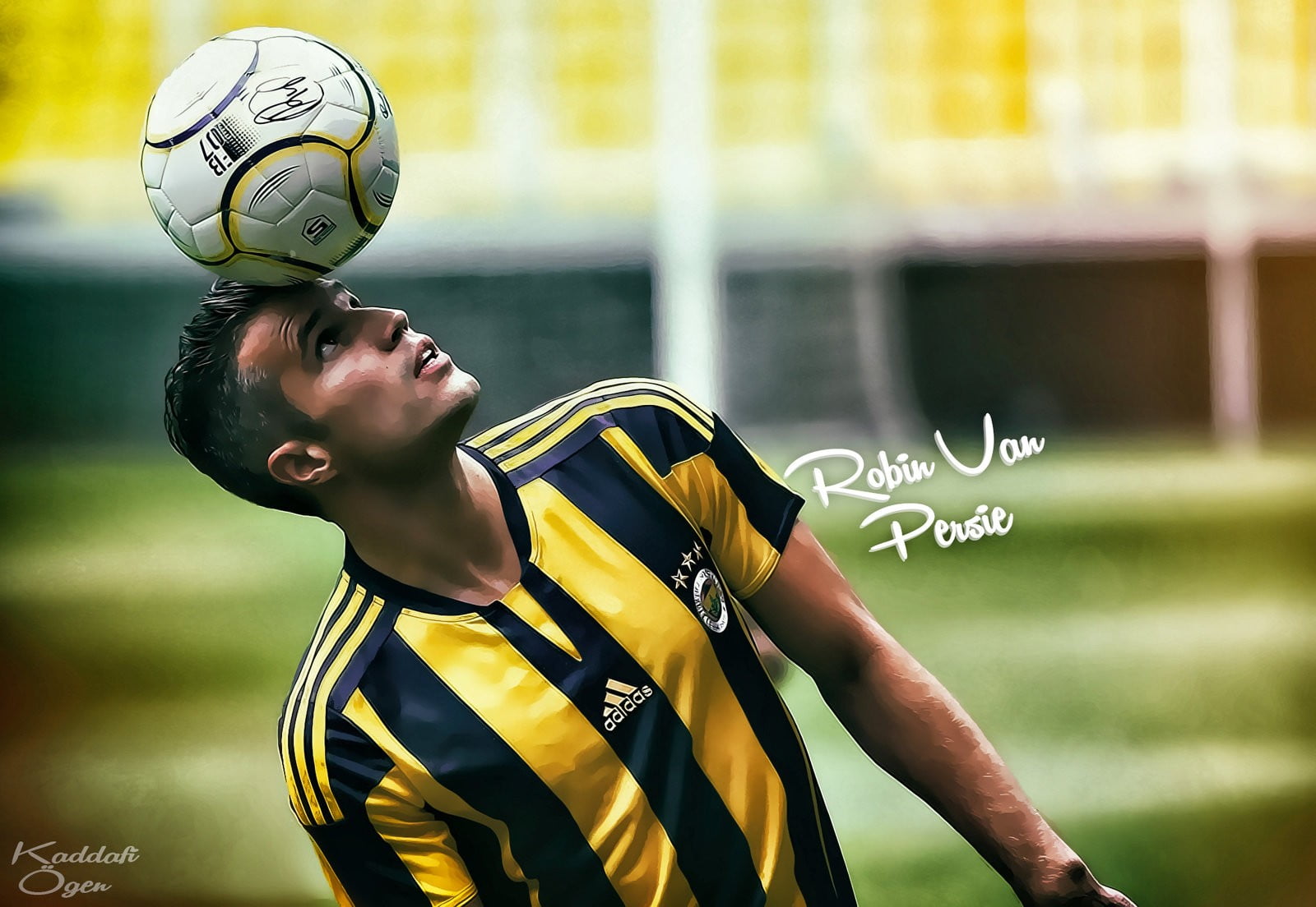Robin Van Persie photo, Robin van Persie, Fenerbahçe, footballers, soccer