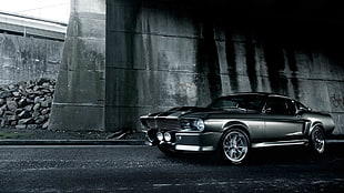 gray Ford Mustang on graytop road