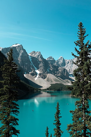 Lakeshore at Canada, nature, mountains, water, trees HD wallpaper