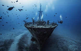 black ship, underwater, fish, shipwreck, divers