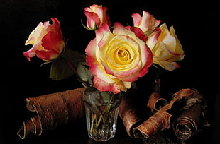close up photo of yellow-and-red Roses arrangement HD wallpaper