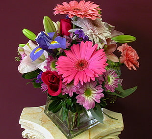 Gerbera, Rose,Iris and Lily flower arrangement HD wallpaper