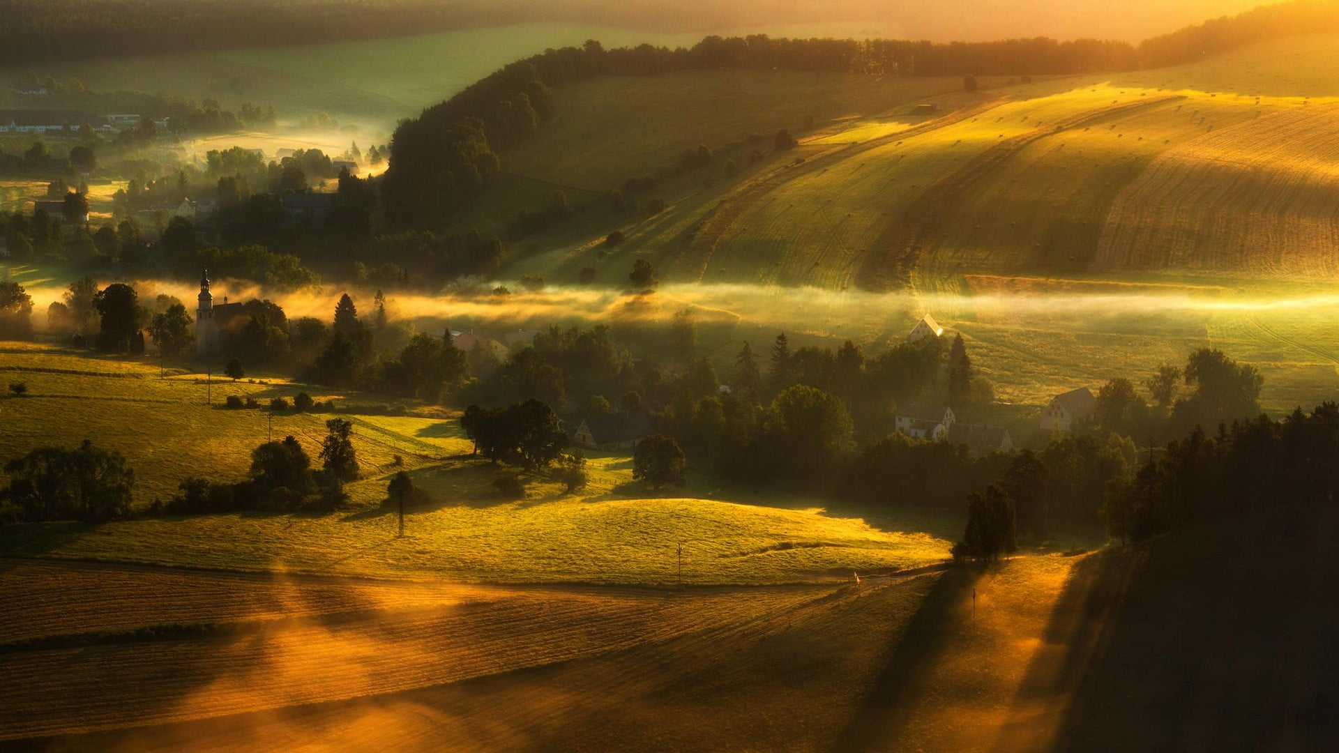 grass field, landscape, nature, valley, mist