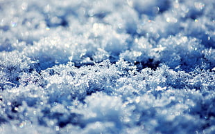 Snow,  Surface,  Snowfields HD wallpaper