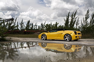 yellow and black sports coupe park near green trees during daytime HD wallpaper