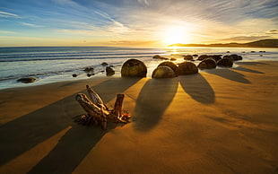 gray rocks and seashore, beach, landscape, rocks, shadow