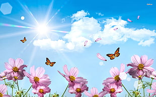 three brown butterflies and purple petaled flowers 3D perspective HD wallpaper