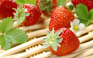 bunch of red strawberries HD wallpaper