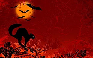illustration of black cat, Halloween, black cats HD wallpaper