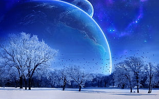 snow covered field and trees showing sky with planets HD wallpaper