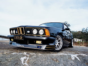 black BMW 3-series in distant of green leafed trees