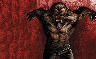 werewolf illustration HD wallpaper