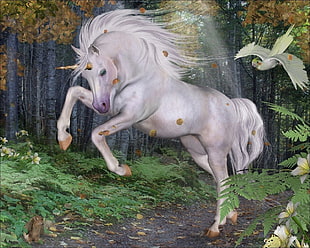 white unicorn wallpaper HD wallpaper