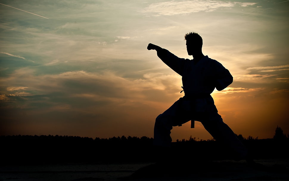 silhouette of man during golden hour, men, martial arts, silhouette, kimono HD wallpaper