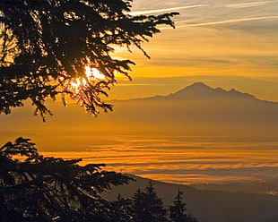 green tress and mountain landscape photography during sunrise